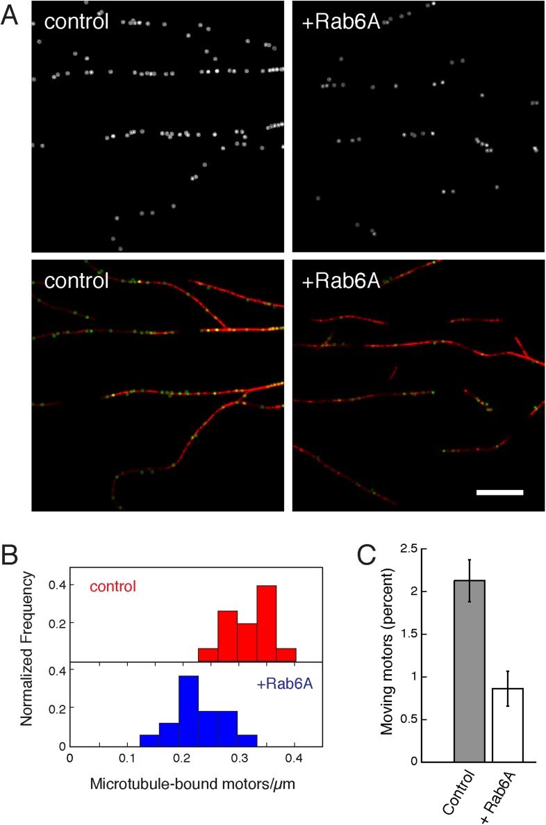 Figure 5—figure supplement 1.