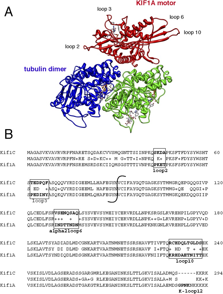 Figure 4—figure supplement 1.