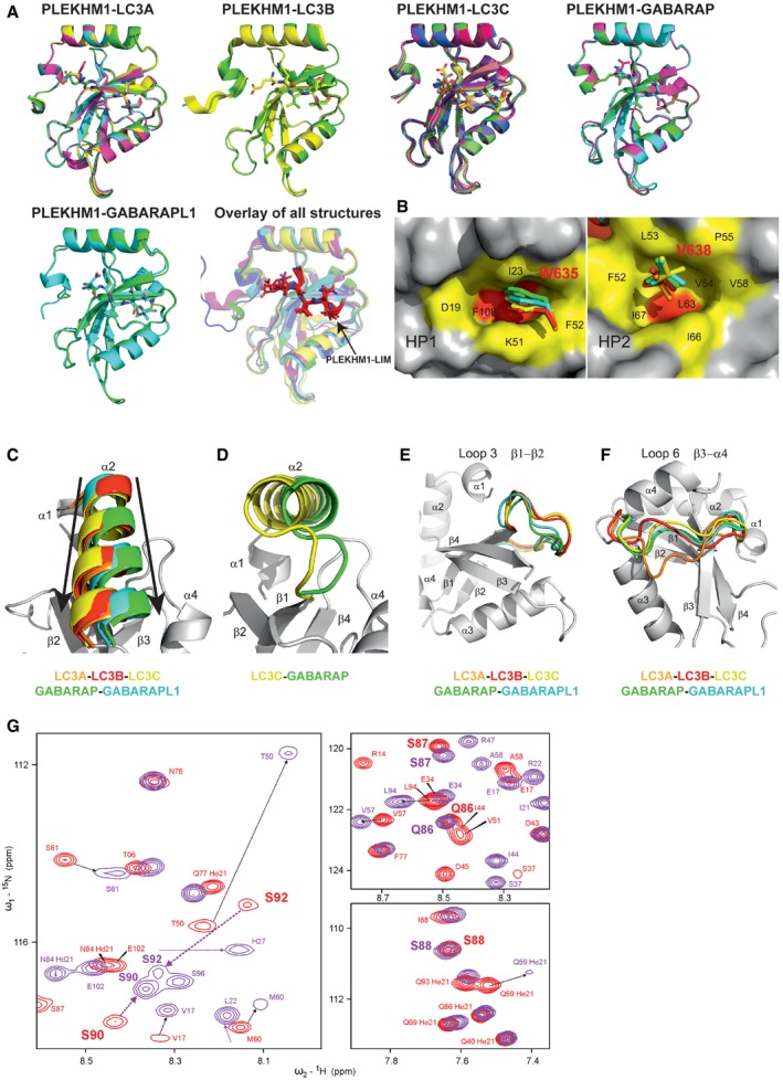 Figure EV3