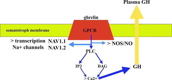 Figure 5