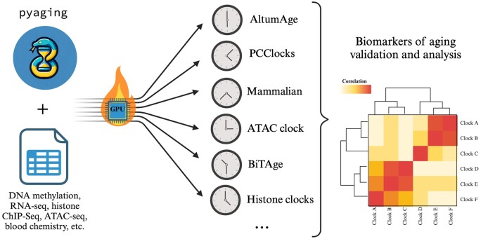 Graphical Abstract