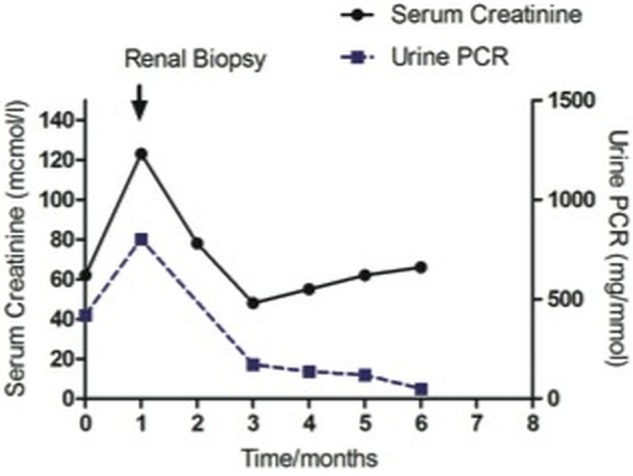 Figure 2