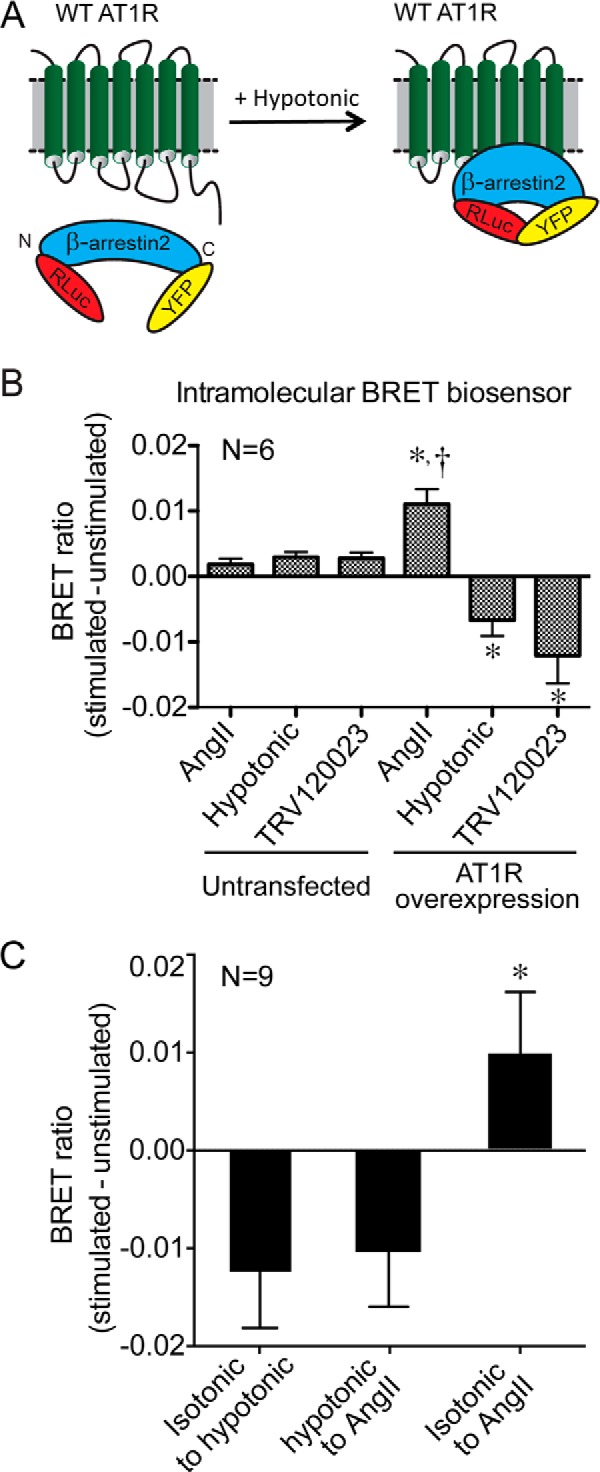 FIGURE 4.