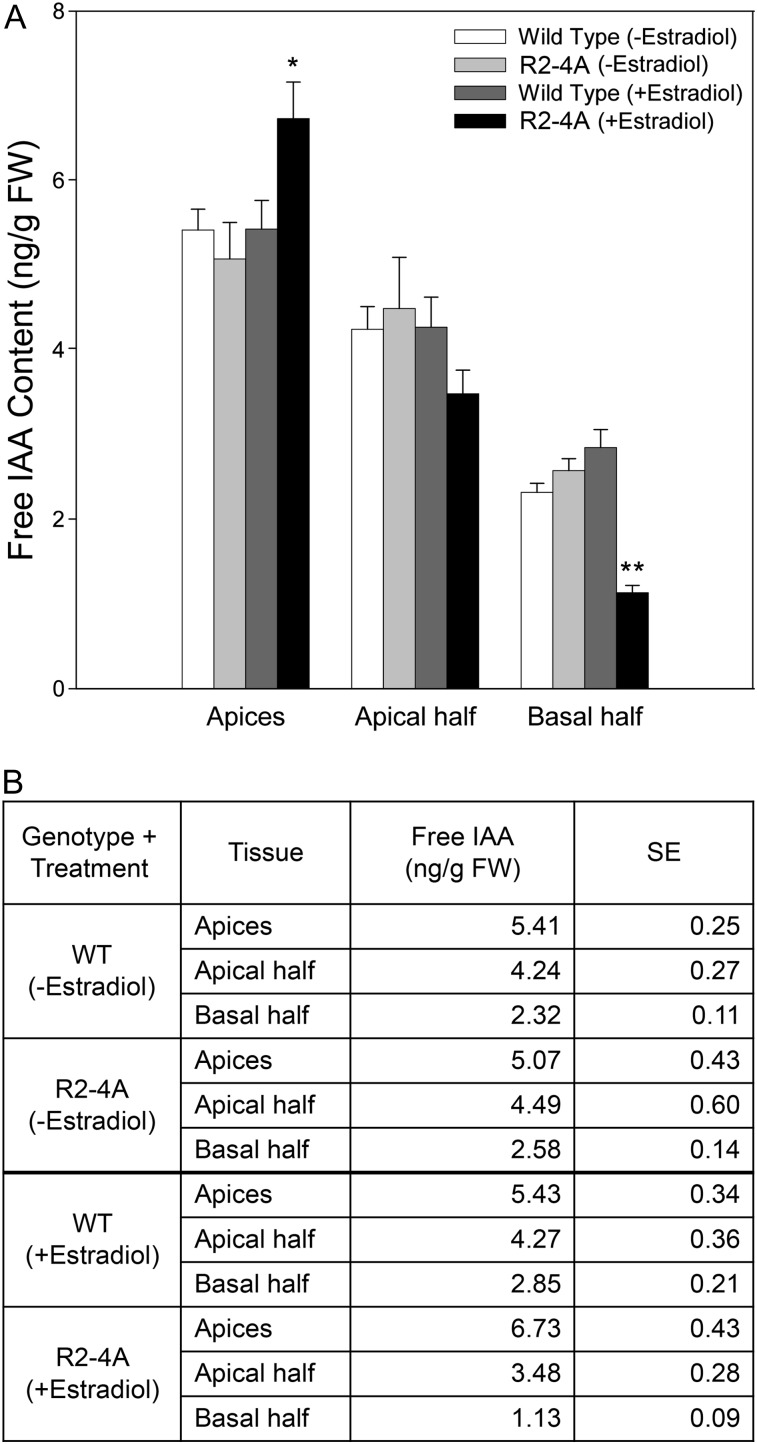 Figure 2.