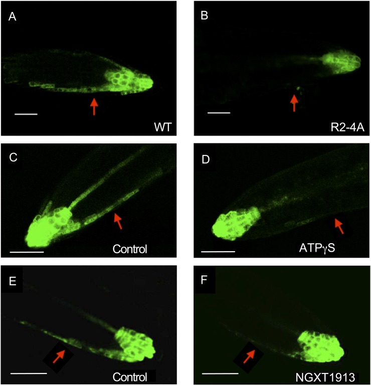 Figure 6.