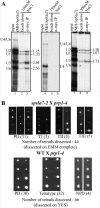 Fig 9