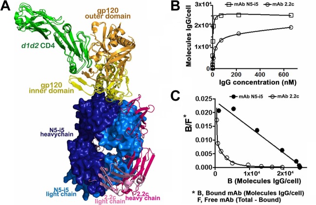 FIG 6