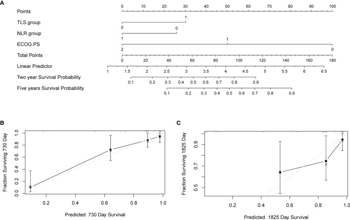 Figure 5