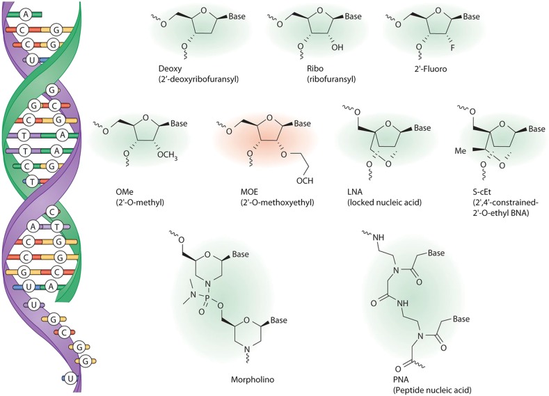 Figure 2.