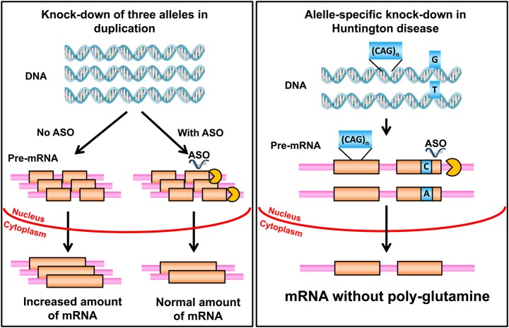 Figure 3.