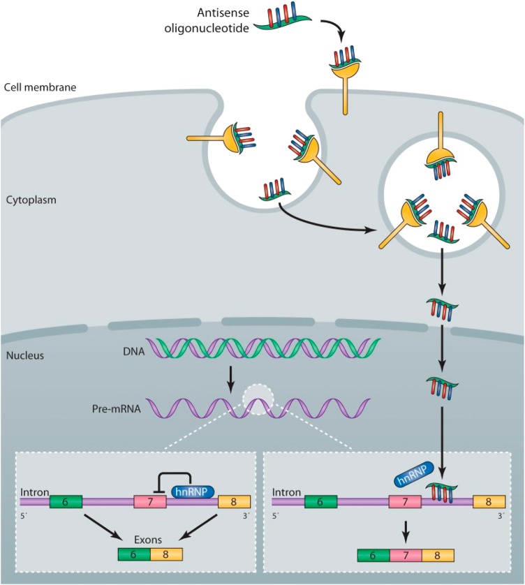 Figure 5.