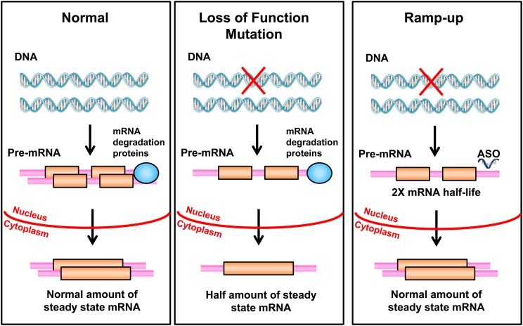 Figure 6.