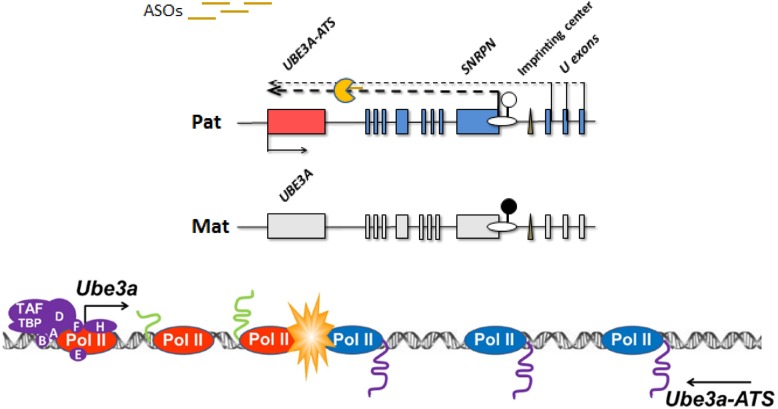 Figure 4.