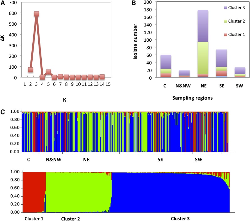 Figure 2 