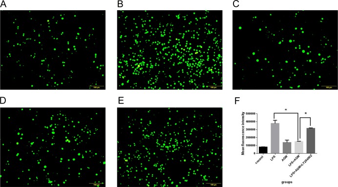 Fig 6