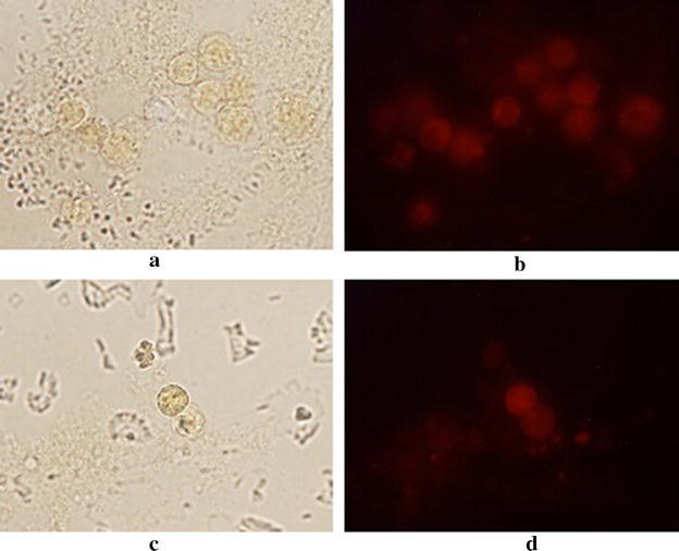 Fig. 7