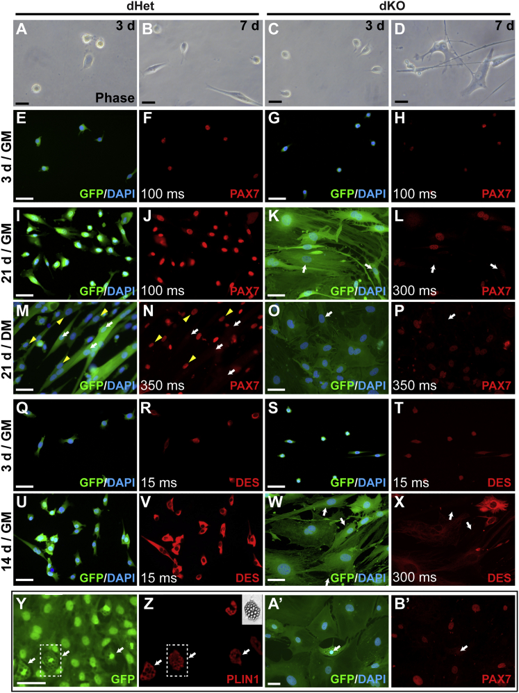 Figure 3