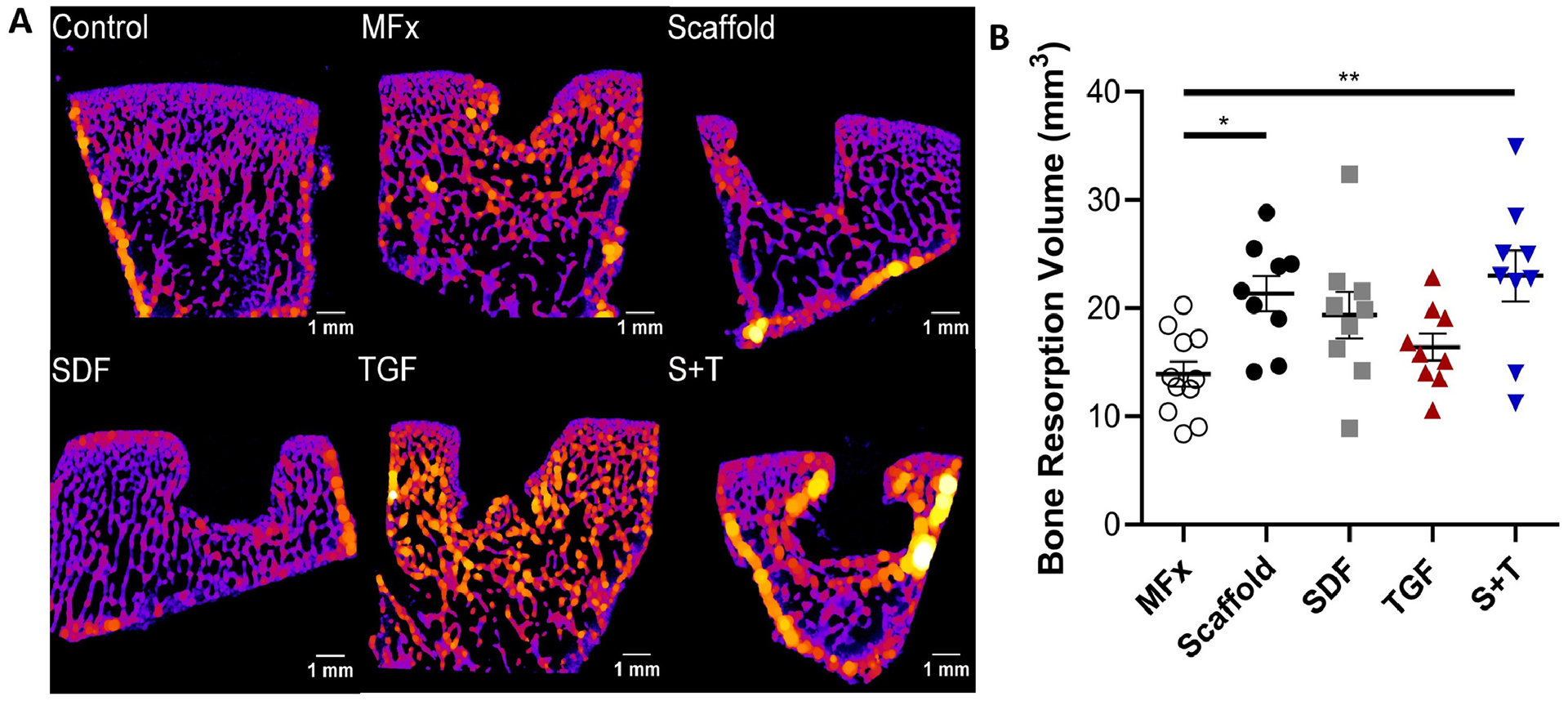 Figure 6 -