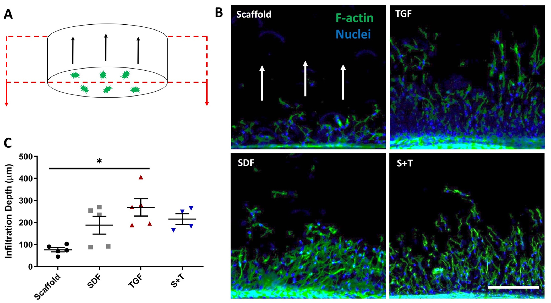 Figure 2 –