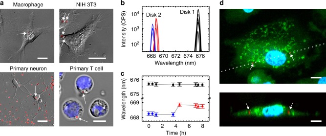 Fig. 3