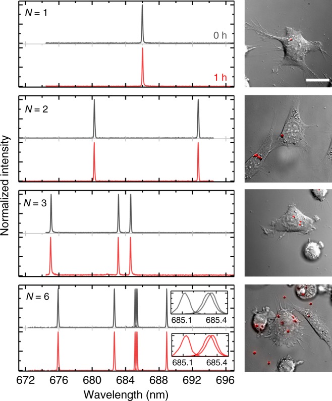 Fig. 4