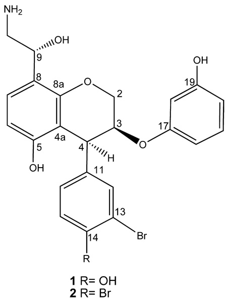 graphic file with name nihms193377f4.jpg