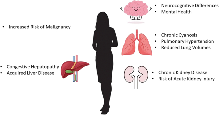 Figure 2