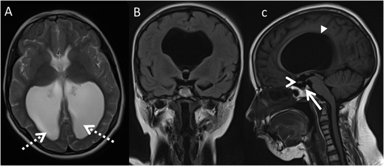 Figure 3.