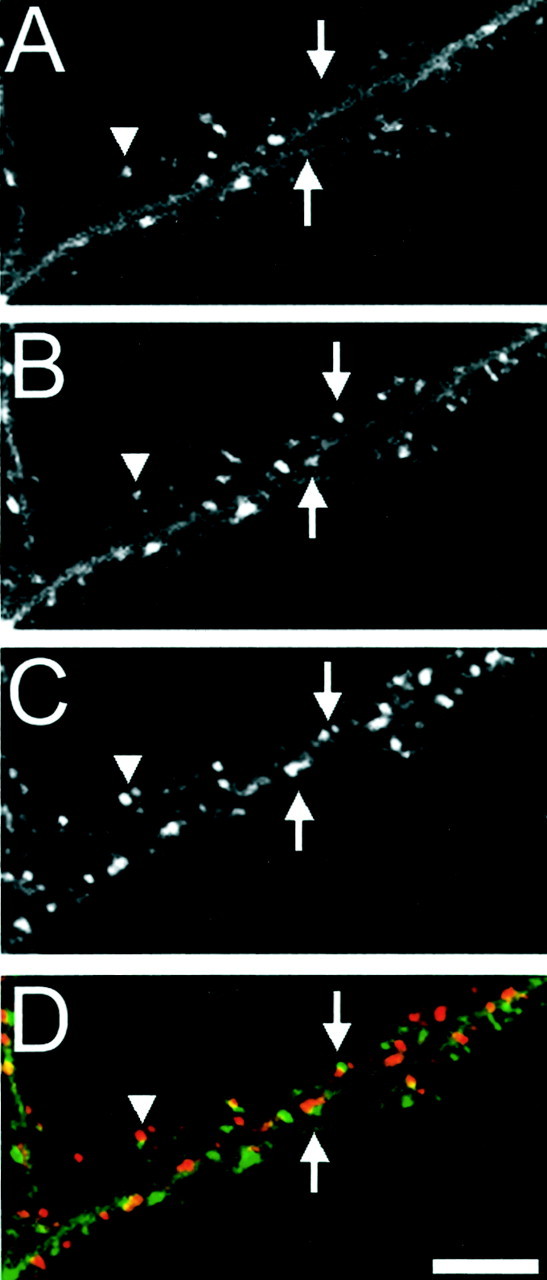 Fig. 10.