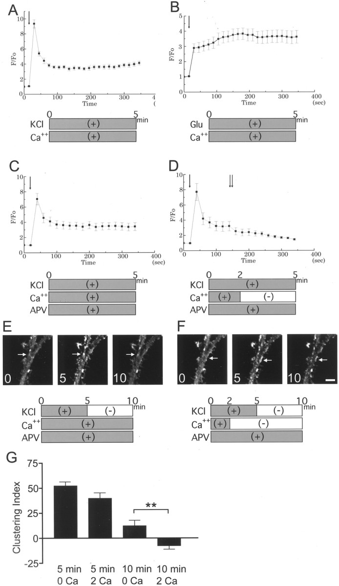 Fig. 9.