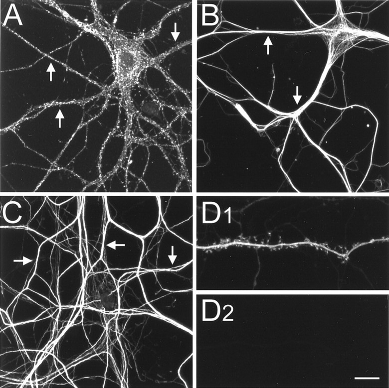 Fig. 11.