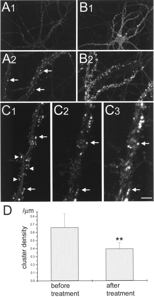 Fig. 13.