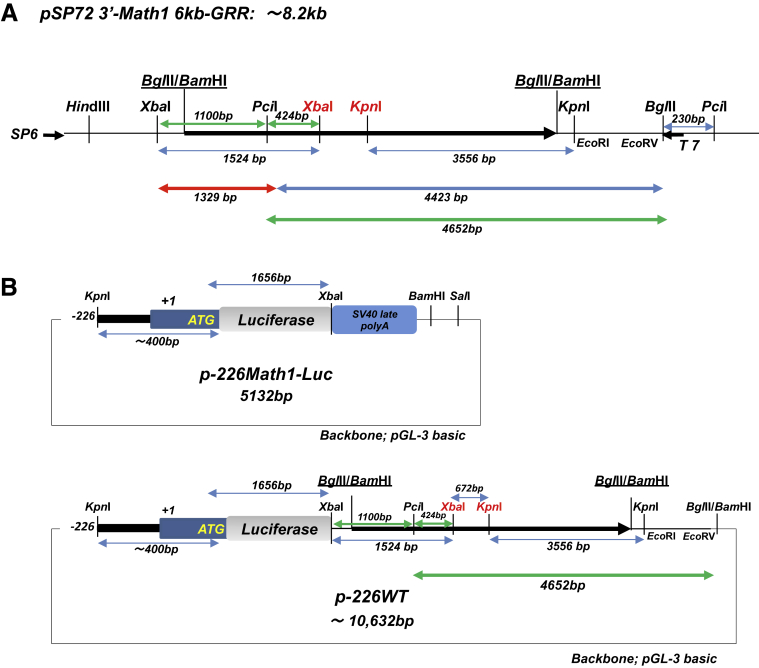 Figure 17