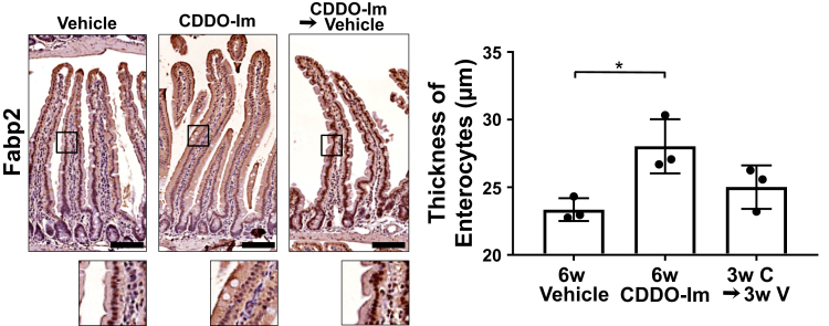 Figure 6