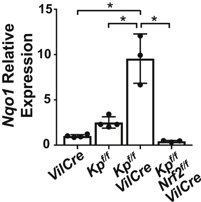 Figure 16