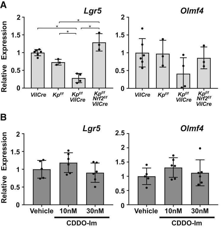 Figure 10