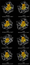 Figure-4