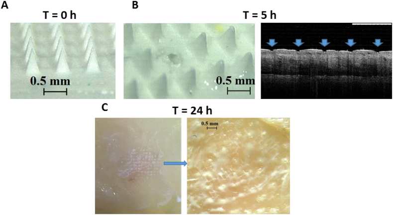 Fig. 4