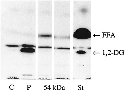 FIG. 4