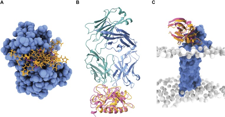 Figure 4.