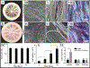 Figure 19.