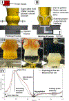 Figure 12.