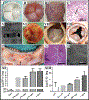 Figure 23.