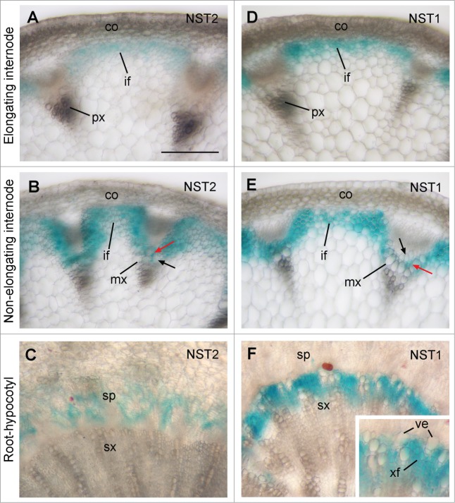 Figure 2.