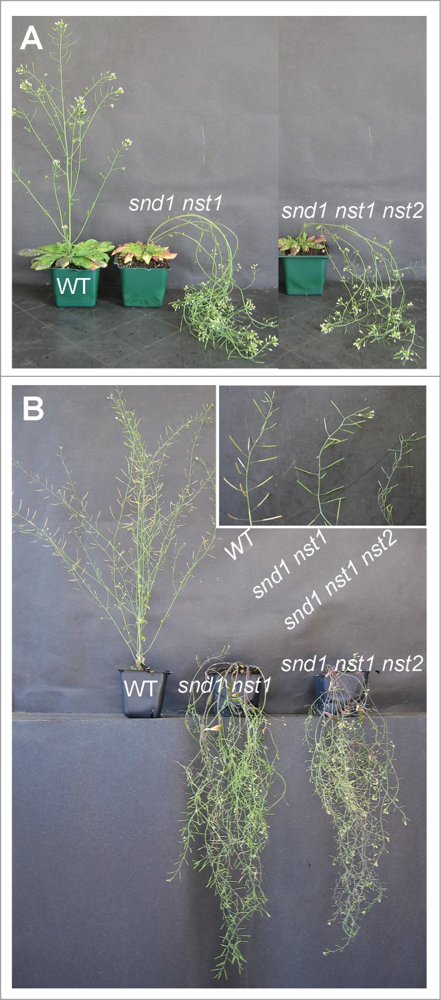 Figure 3.