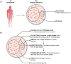 Fig 1: