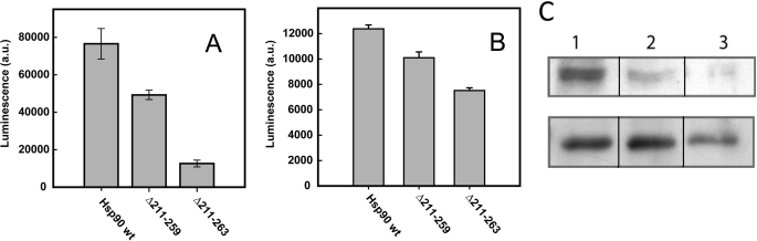 FIGURE 2.