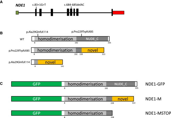 Figure 3