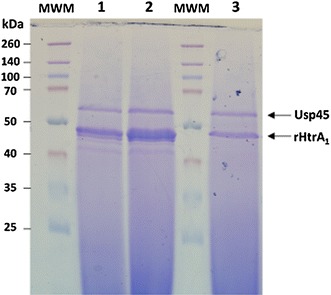 Figure 3