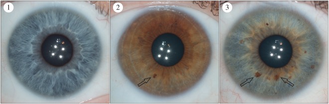 Figure 4.